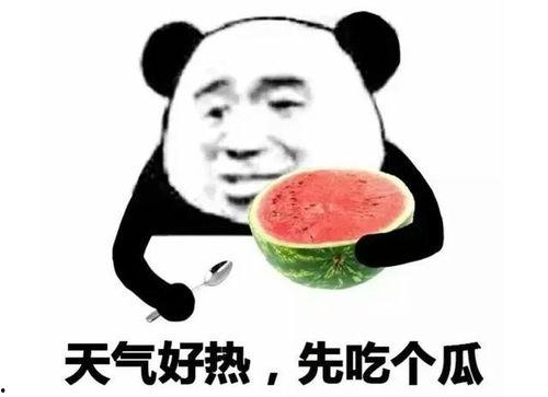 吃瓜比赛表情包,吃瓜比赛表情包盘点，笑料百出！
